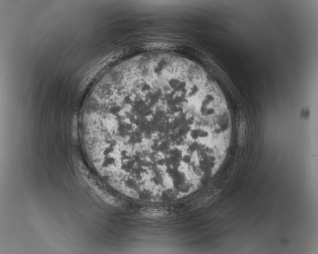 X0000115480729200912181208