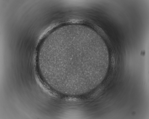 X0000115480730200912181208