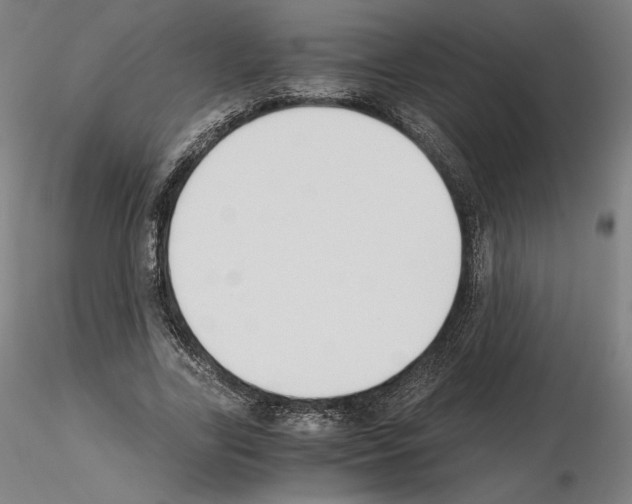 X0000115480731200912181208
