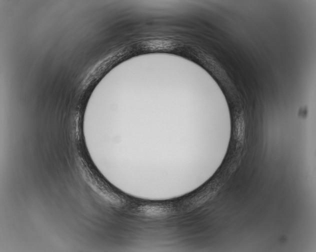 X0000115480733200912181208
