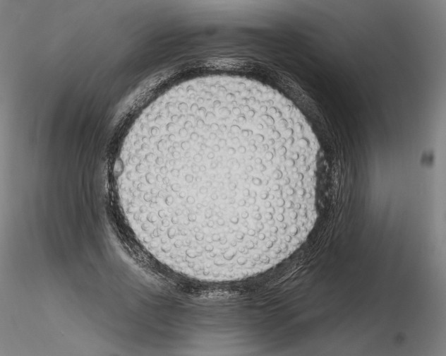 X0000115480734200912181208