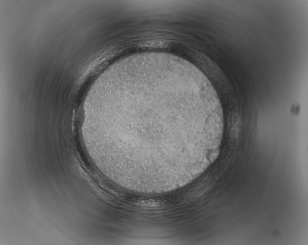 X0000115480735200912181208
