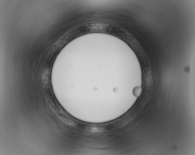 X0000115480737200912181208