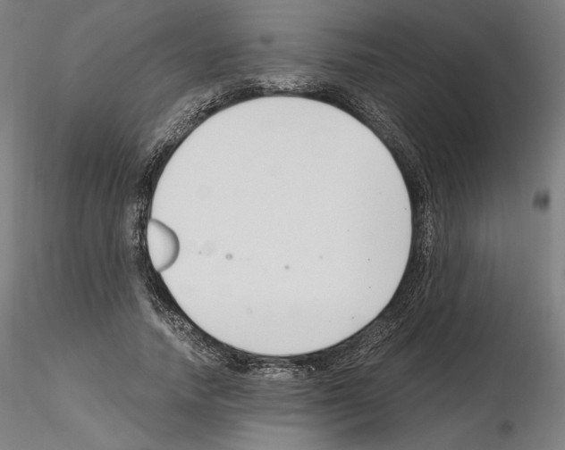 X0000115480738200912181208