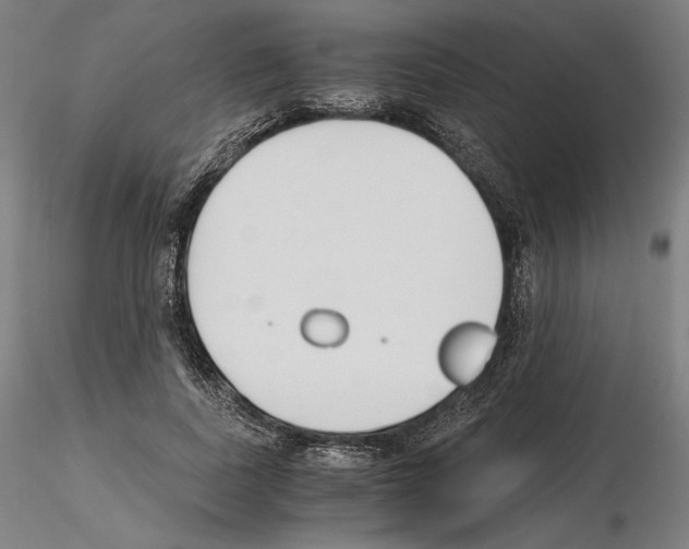 X0000115480739200912181208