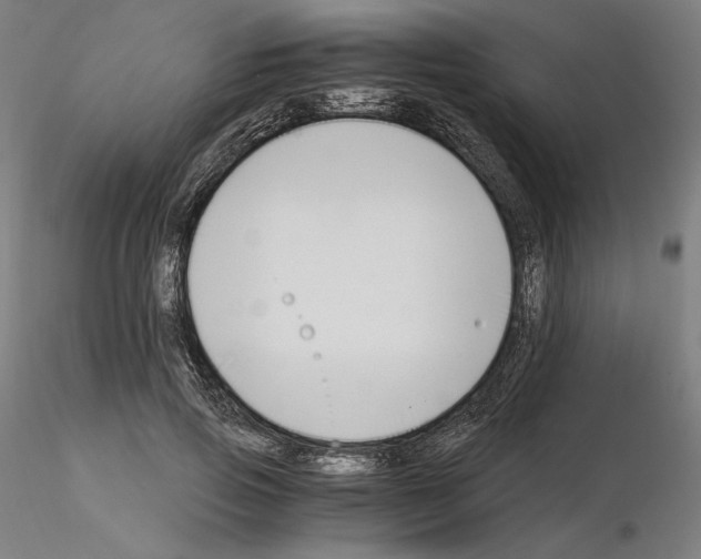 X0000115480741200912181208