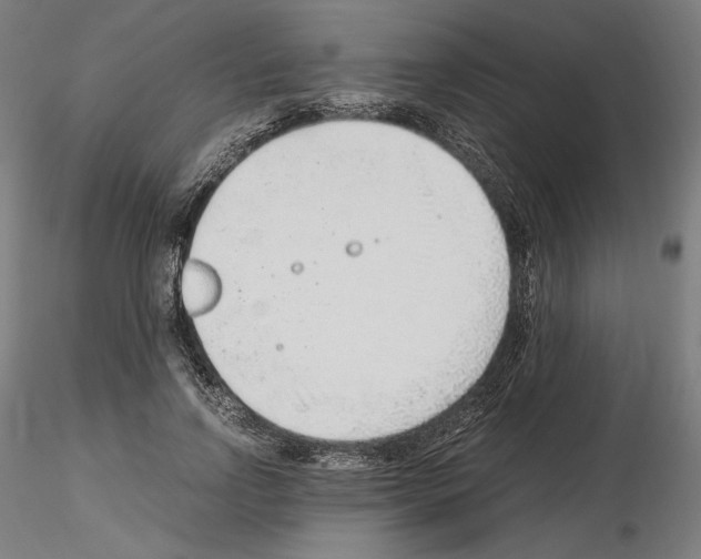 X0000115480742200912181208