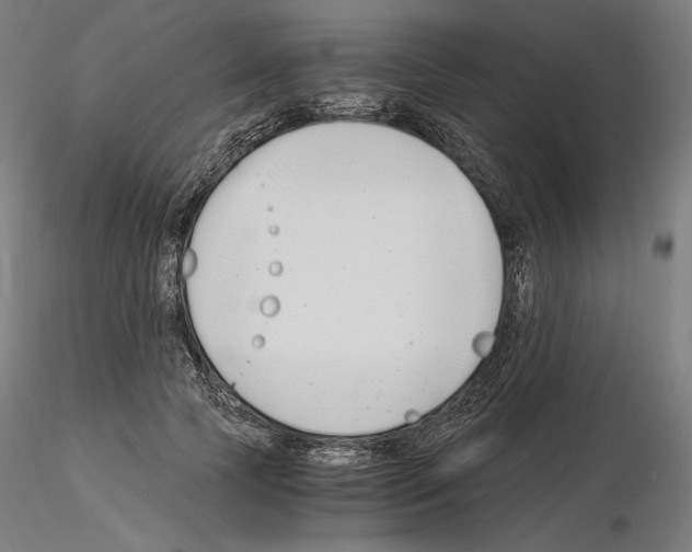 X0000115480745200912181208