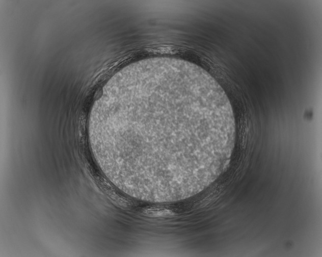 X0000115480747200912181208
