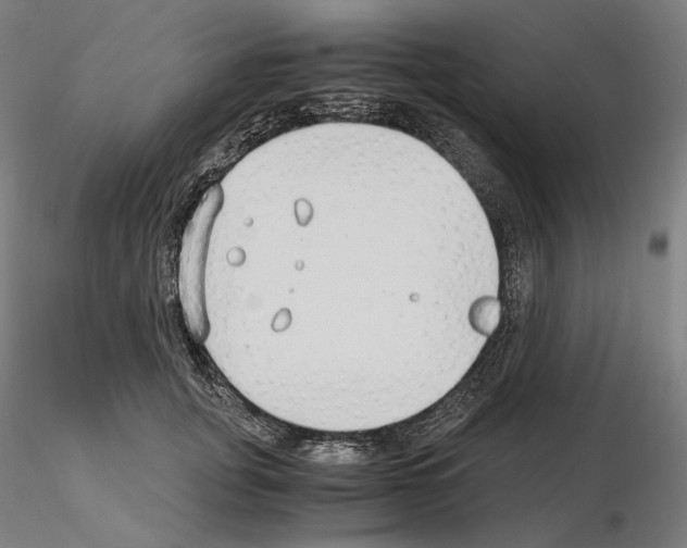X0000115480751200912181208