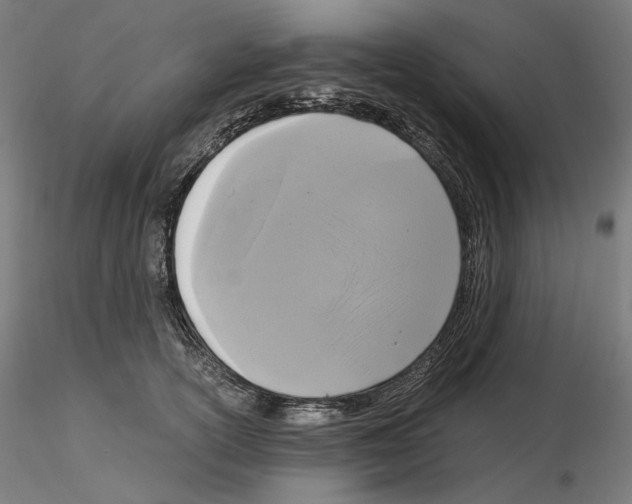 X0000115480754200912181208