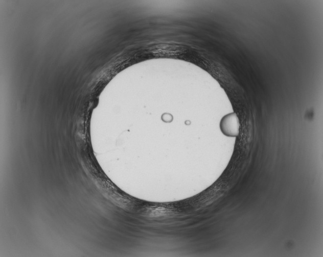 X0000115480755200912181208