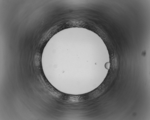 X0000115480757200912181208