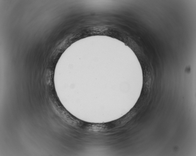 X0000115480758200912181208