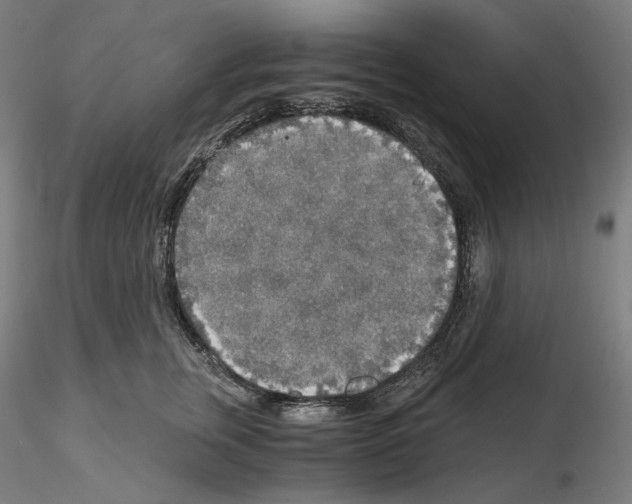 X0000115480759200912181208