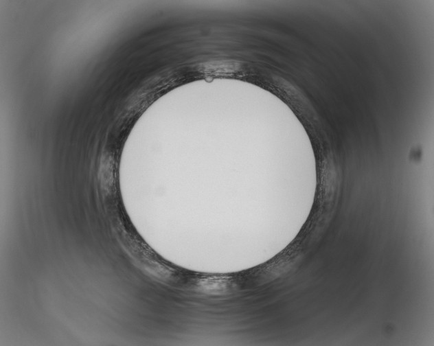 X0000115480761200912181209