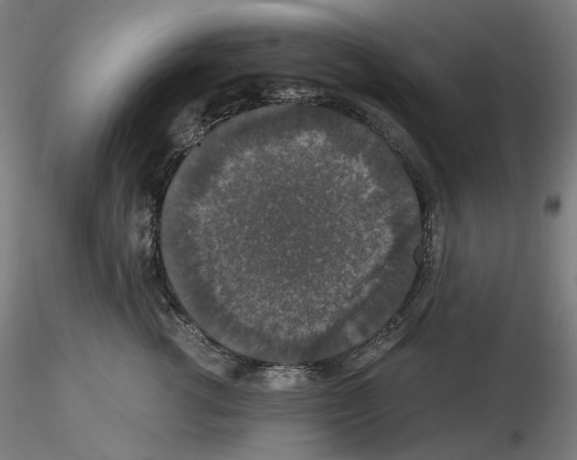 X0000115480762200912181209