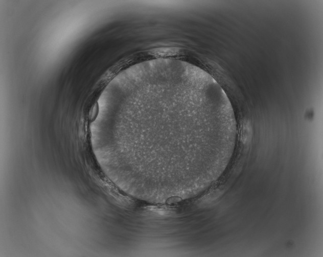X0000115480763200912181209