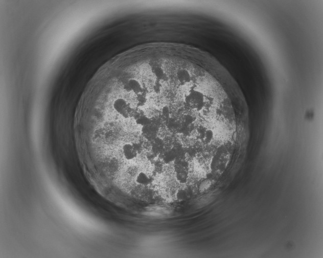 X0000115480765200912181209