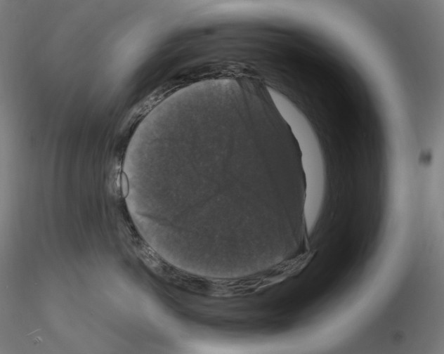 X0000115480766200912181209