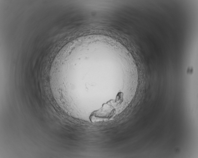 X0000115480769200912181208