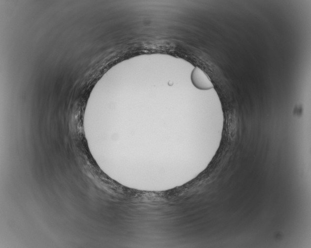 X0000115480770200912181208