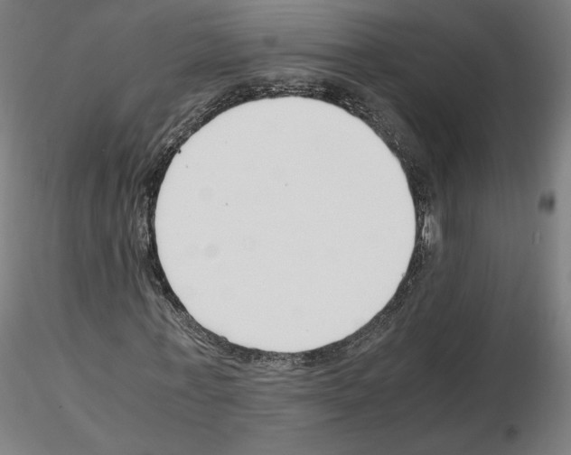 X0000115480771200912181208