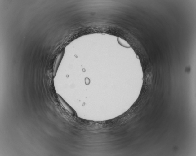 X0000115480772200912181208