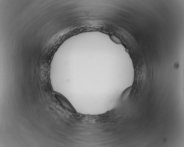 X0000115480773200912181208