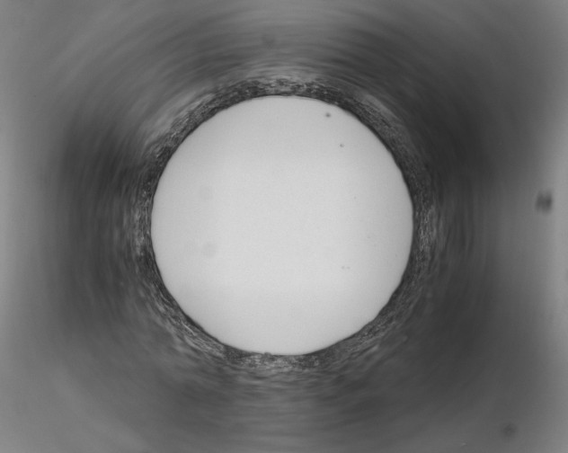 X0000115480774200912181208