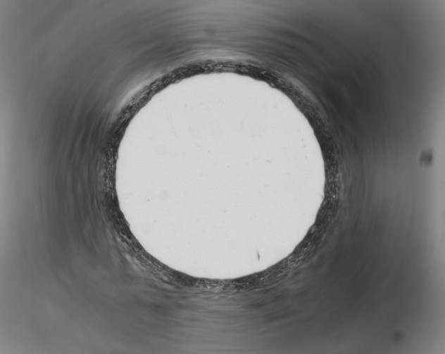 X0000115480775200912181208