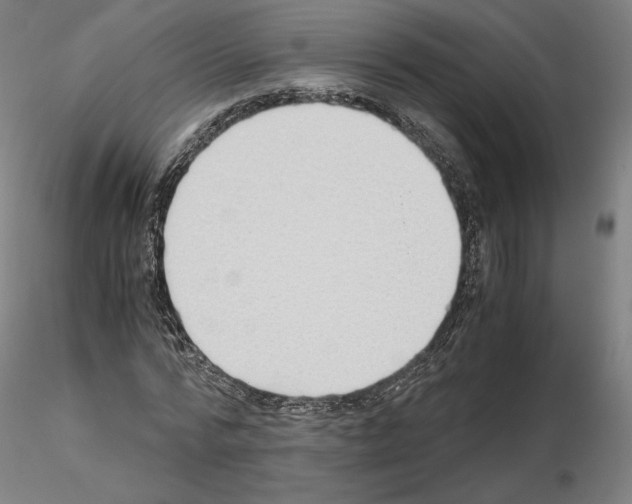 X0000115480776200912181208