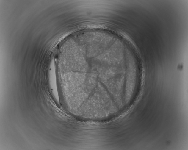 X0000115480777200912181208
