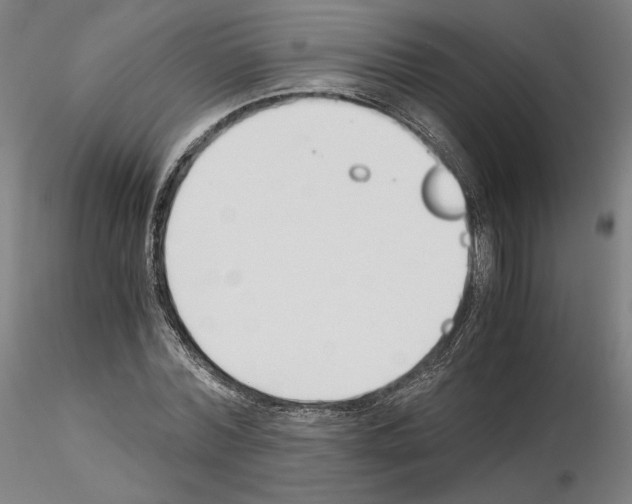 X0000115480780200912181208