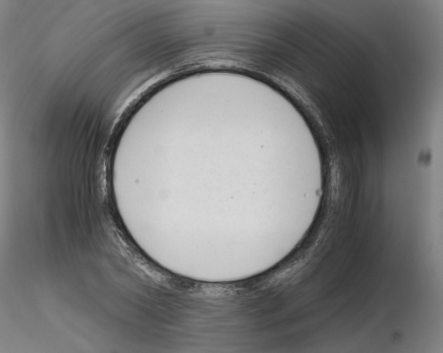 X0000115480782200912181208