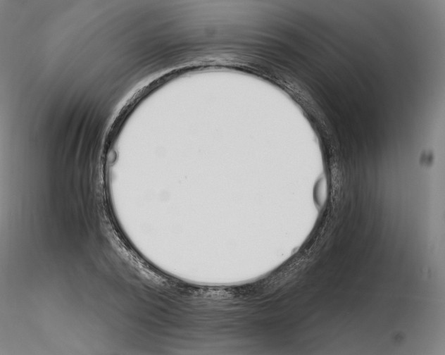 X0000115480784200912181208