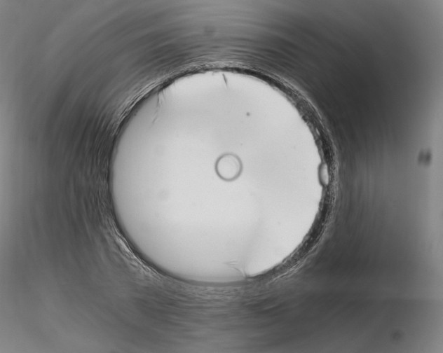 X0000115480785200912181208