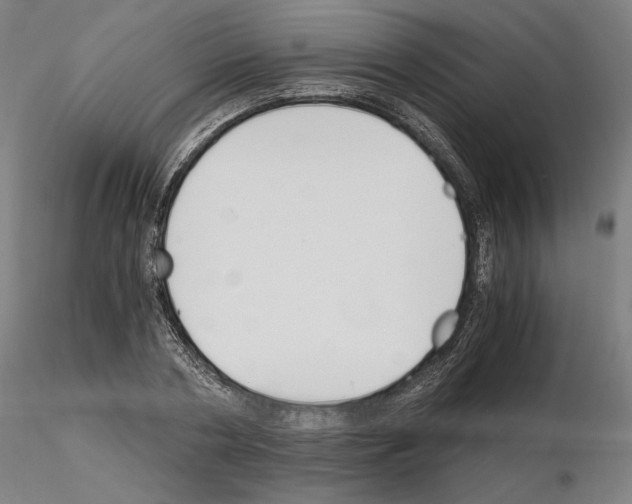 X0000115480786200912181208