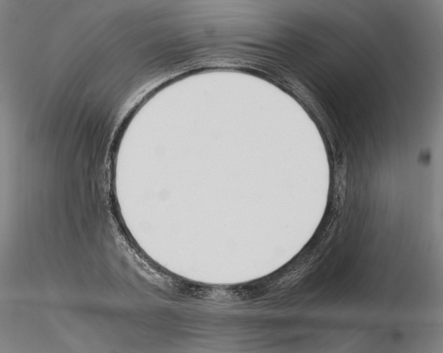 X0000115480787200912181208