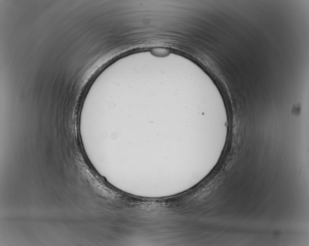 X0000115480789200912181208