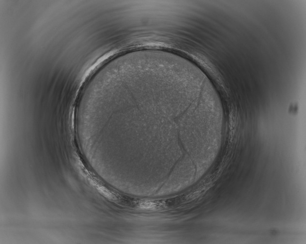 X0000115480790200912181208