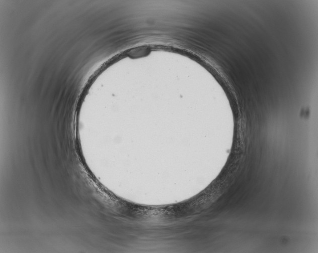 X0000115480791200912181208