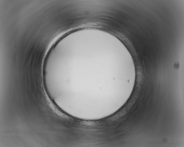 X0000115480792200912181208