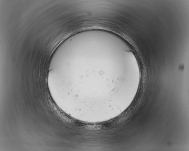 X0000115480793200912181208