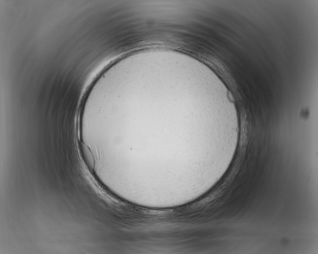 X0000115480796200912181208