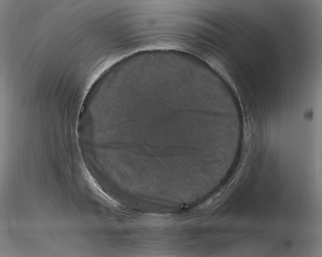 X0000115480797200912181208