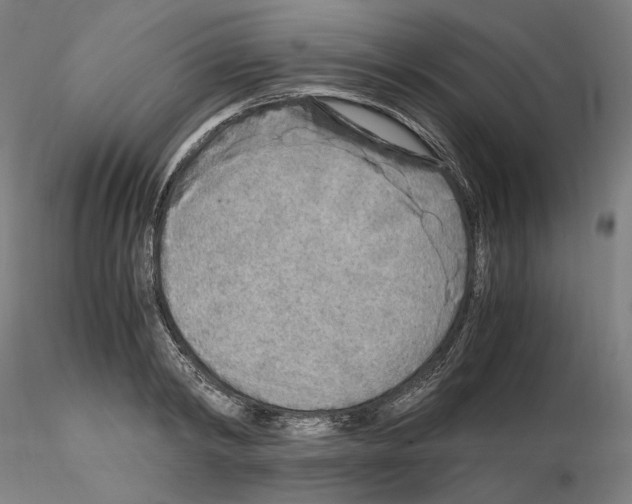 X0000115480798200912181208