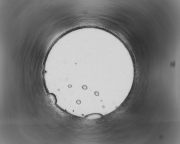 X0000115480799200912181208