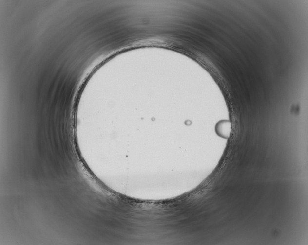 X0000115480800200912181208