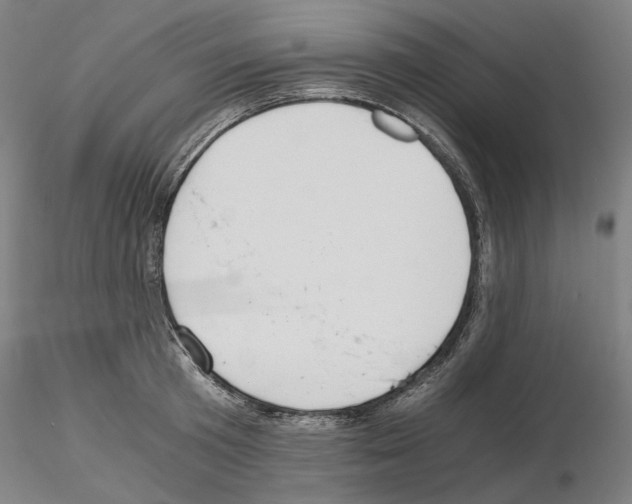 X0000115480801200912181208